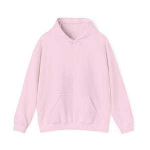 It's Wrong To Hurt People Hoodie – Light Pink