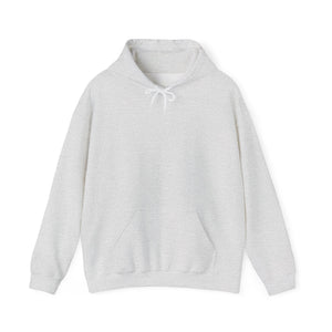 Don't Believe Everything You Think Hoodie – Ash