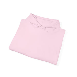 Worthy Beyond Measure Hoodie – Light Pink